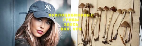 соль курить ск Горняк