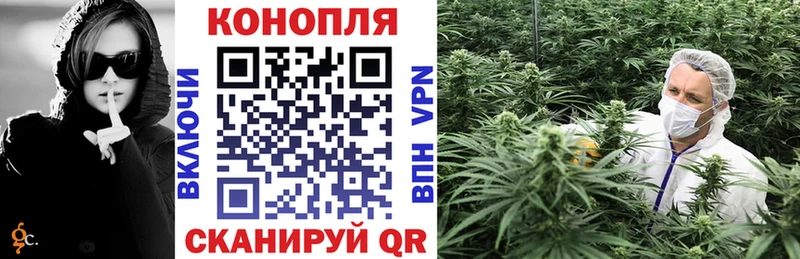 Бошки марихуана THC 21%  Купить где  Красноуфимск 